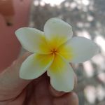 Kate Turner Cline - @fundybaygirl - Instagram