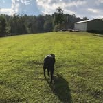 Katie Colombo - @katelynn_colombo1 - Instagram