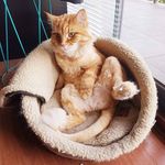 Kate Colston - @colstokc - Instagram