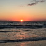 Kathy Coniglio - @kathyconiglio - Instagram