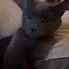 Kate - @kate.conner_ - TikTok