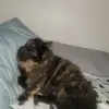 Lou - @katelyneecorkum - TikTok