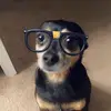 kate - @katecostanzaa - TikTok