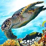 Kate Cronin - @kate.cronin.923 - Instagram