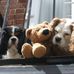 Kate Crook - Facebook