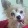 katecrowe5 - @katecrowe5 - TikTok