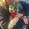 Kate.dailey12 - @kate.daileyy - TikTok