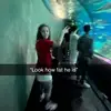 katelynndedy_ - @katelynn..deady - TikTok