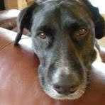 Katherine DeForest Evans - Facebook