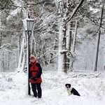 Kate Dennison - @dennison.kate - Instagram