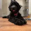 katedevitadenny - @katedevitadenny - TikTok
