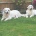 Kate Denton - Facebook