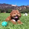 katedenton - @katedenton1 - TikTok