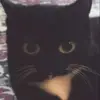 Kate - @katediamond12 - TikTok