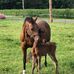 Kate Dillard - Facebook