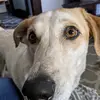 Kate Dillman - @kdillman23 - TikTok
