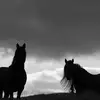 katedillman - @katedillman - TikTok