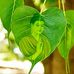 Kate Đinh - Facebook