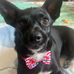 Katie Dinh - Facebook