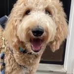 Kate Doane Goodwin - @sbhuntrjumpr - Instagram