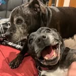 Kate Dobbs - @kate.dobbs.140 - Instagram