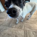 Kathy Lager Dombrowski - @blehmgirl - Instagram