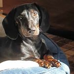 Kate Moffat - @donlan.kate - Instagram