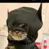 kate.doty.spam - @kate.doty.spam - TikTok