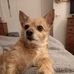 Katie Dow - Facebook