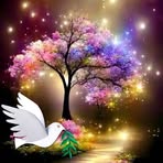 Dullah Kidy - Facebook
