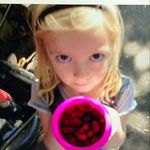 kate dunstan - @kitkatee_122 - Instagram