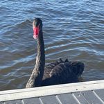 Kate Wyndham Dunstan - @wyndhamdunstan - Instagram