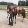 Kateedyson - @kateedyson - TikTok