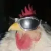 madykateebert - @madykateebert - TikTok