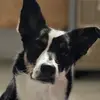 Kate_eddy89 - @kate_eddy89 - TikTok