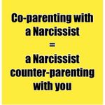Kate Eddy - @coparenting_with_narcissist101 - Instagram
