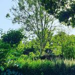 Kate Emery - @katieemery675 - Instagram