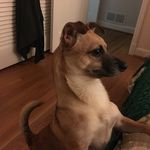 Kate Ennis - @enncomm - Instagram