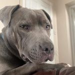 Kate Ewing - @ewing1221 - Instagram