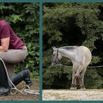 Kate Farmer - @thinkinghorse - Instagram