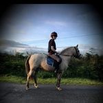 Katie Flavin - @katie.flavin.horse_riding12 - Instagram