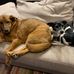 Katie Folkman - Facebook