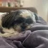 Kate Freed Jensen - @kateaggie - TikTok