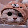 katy_ Fuentes - @katy_fuentes.5 - TikTok