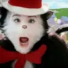 kategandy - @gandmeister - TikTok