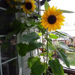 Kate Gardiner - @kate.gardiner.3785 - Instagram