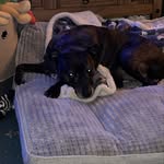 Kate Geddes - @kateged77 - Instagram