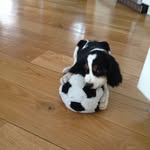 Kate Geller - @at_kate - Instagram