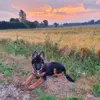 kategeraghty578 - @kategeraghty578 - TikTok