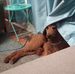 Katie S Geraghty - Facebook